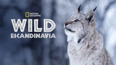 Wild Escandinavia