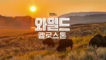 thumbnail - 와일드 옐로스톤