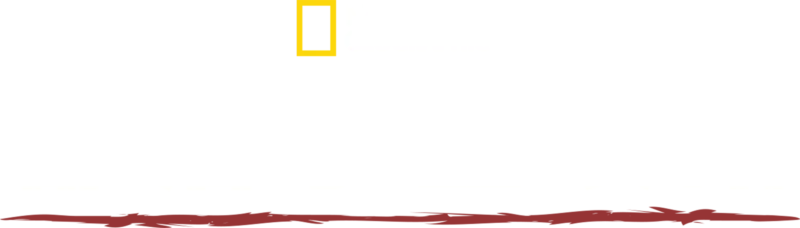 部落求生攻略