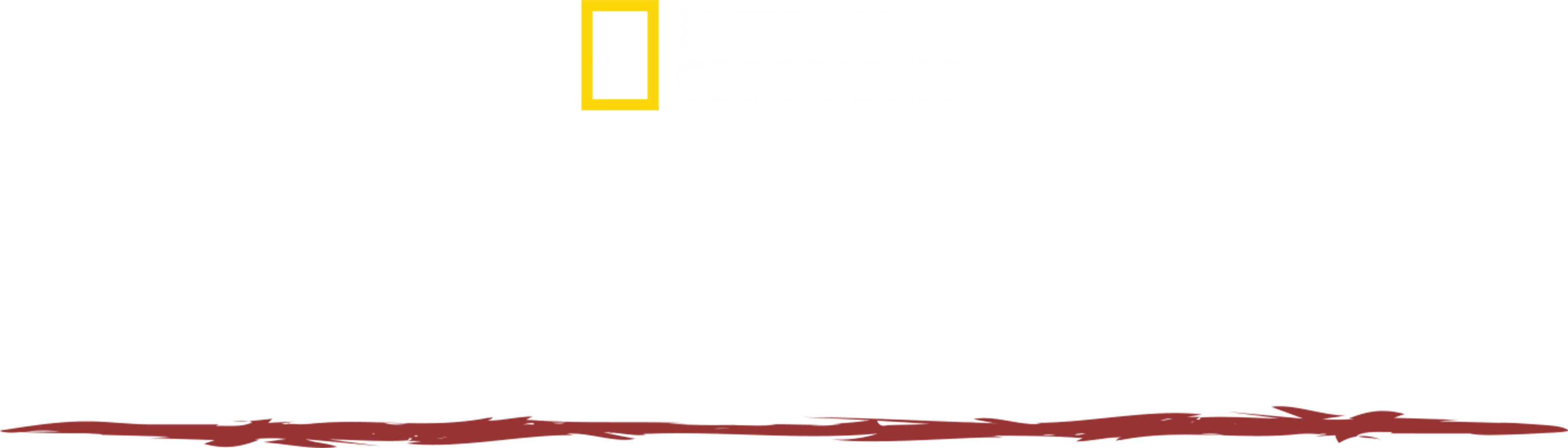 部落求生攻略