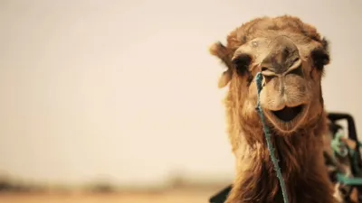 thumbnail - S1:E1 Africa