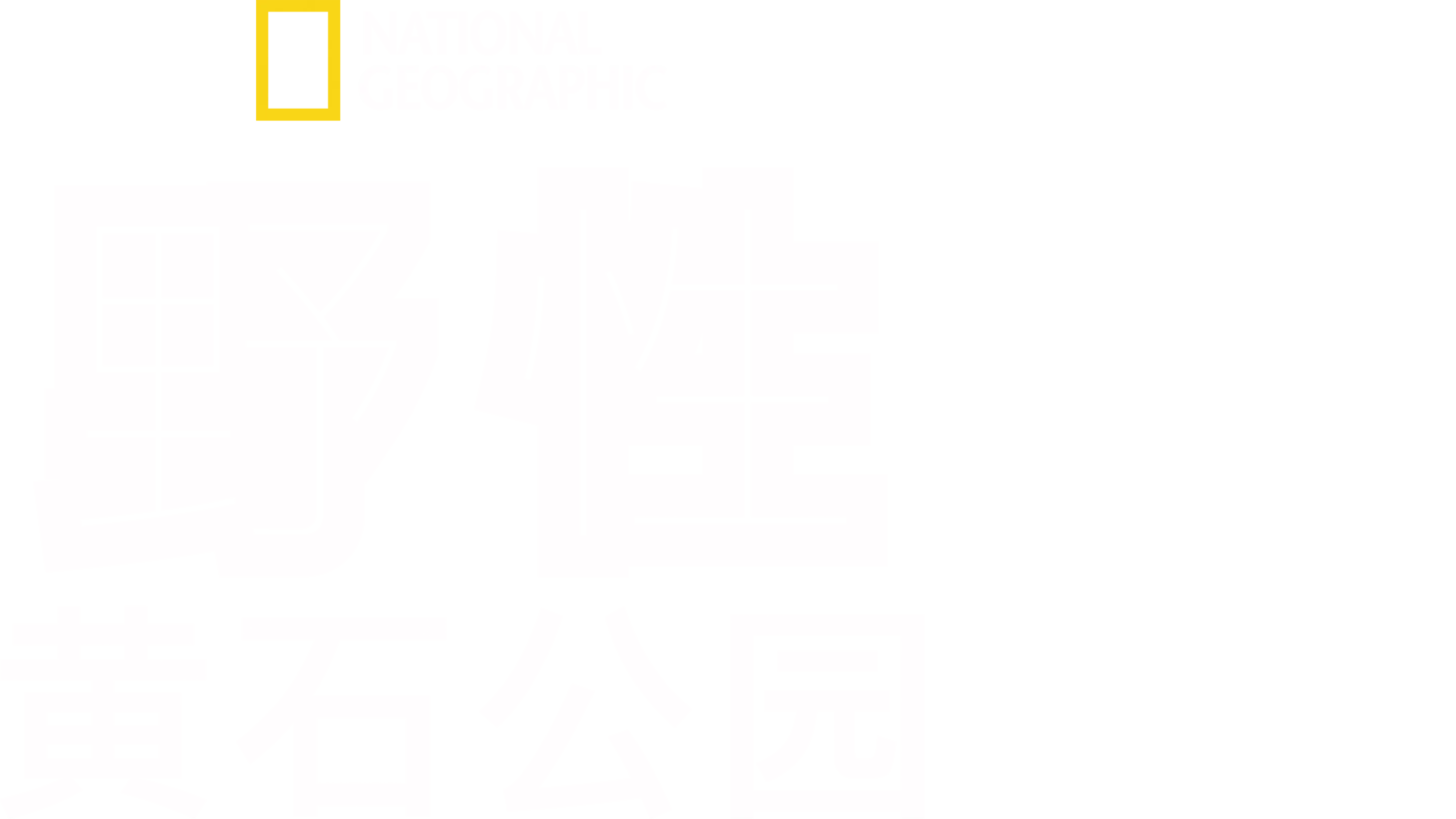 野性黄石公园