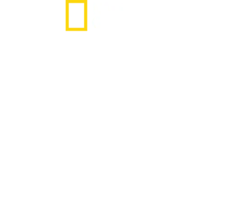 野性黄石公园