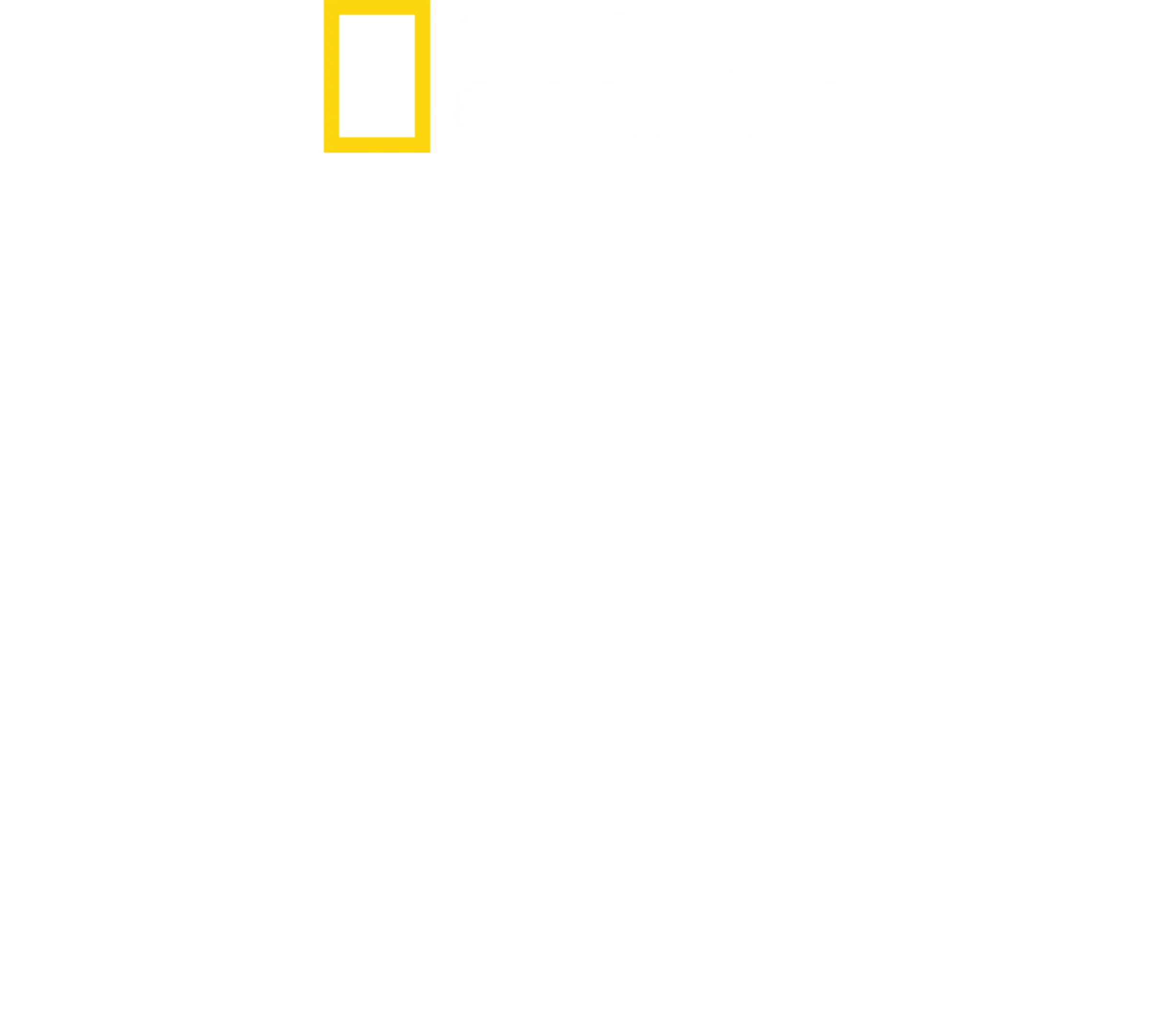 野性黄石公园