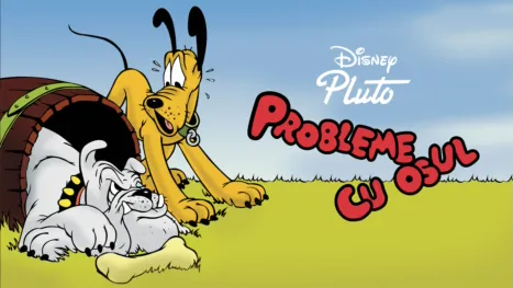 thumbnail - Probleme cu osul