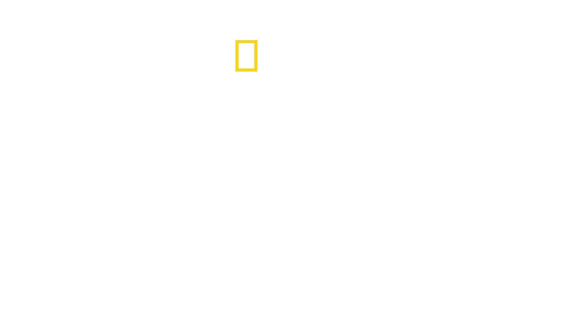 Pohjois-Korea: Omaperäinen Kim-dynastia