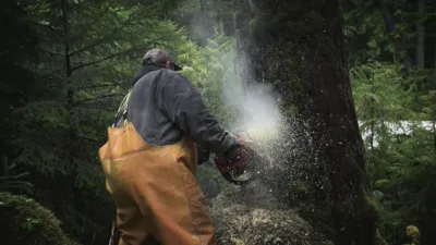 thumbnail - S1:E6 Tree vs. Truck