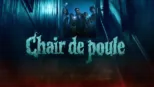 thumbnail - Chair de poule