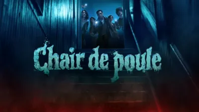Chair de poule