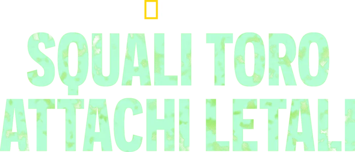 Squali toro: attachi letali