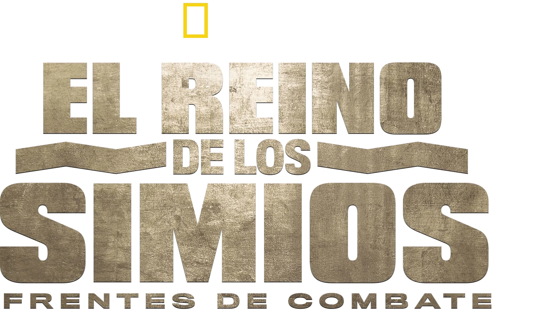 El reino de los simios: frentes de combate