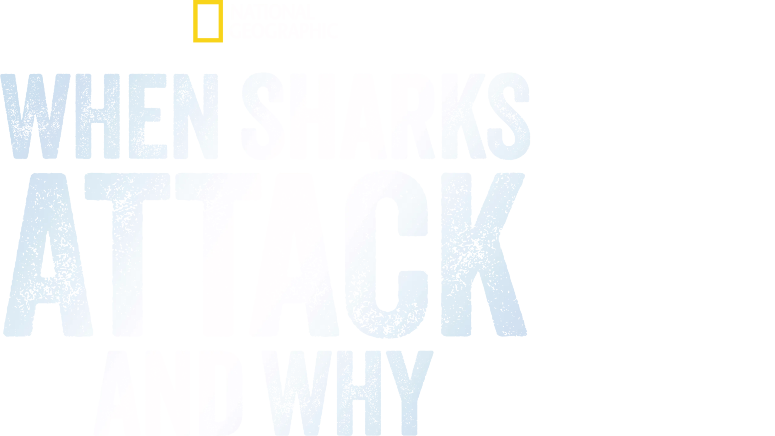 When Sharks Attack... And Why