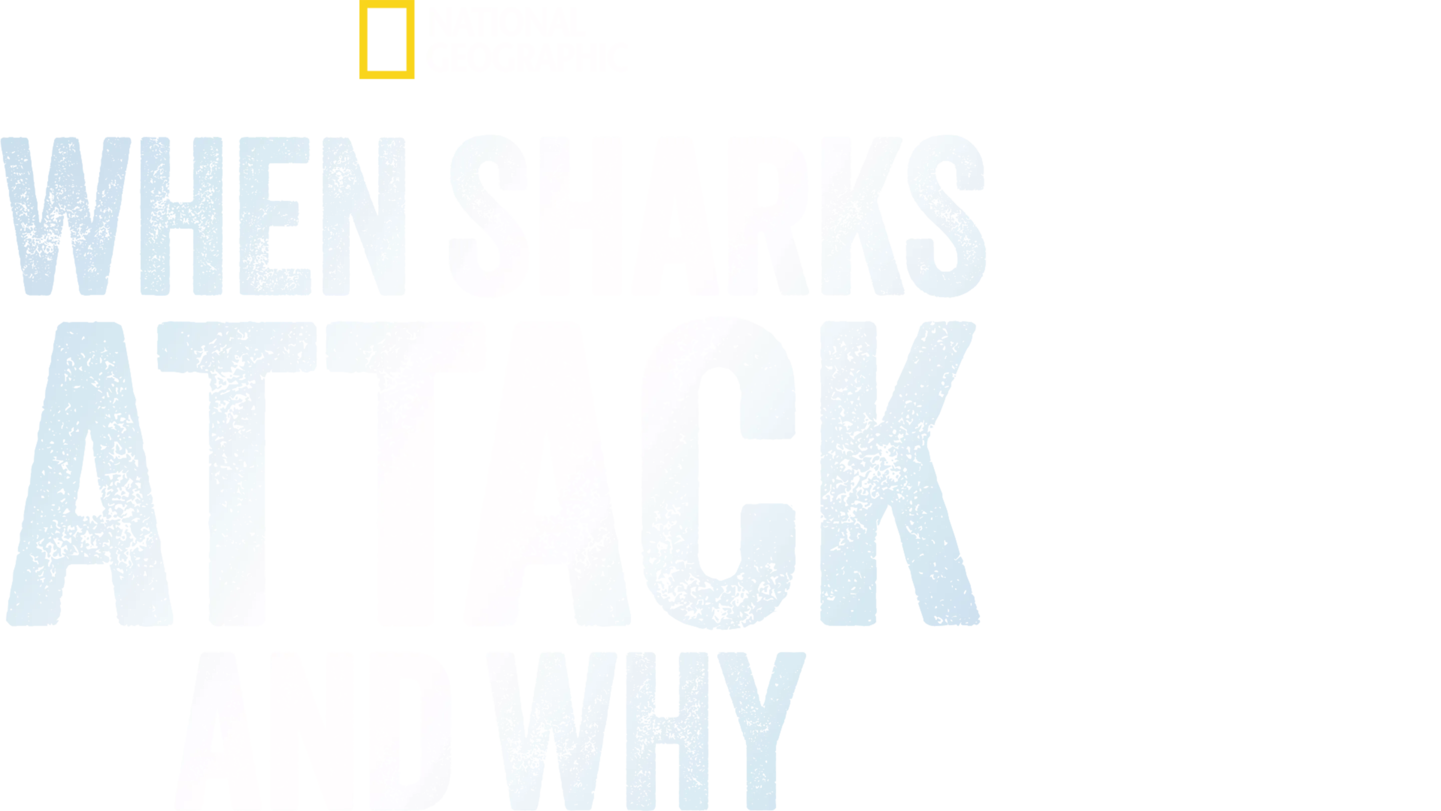 When Sharks Attack... And Why