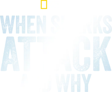 When Sharks Attack... And Why