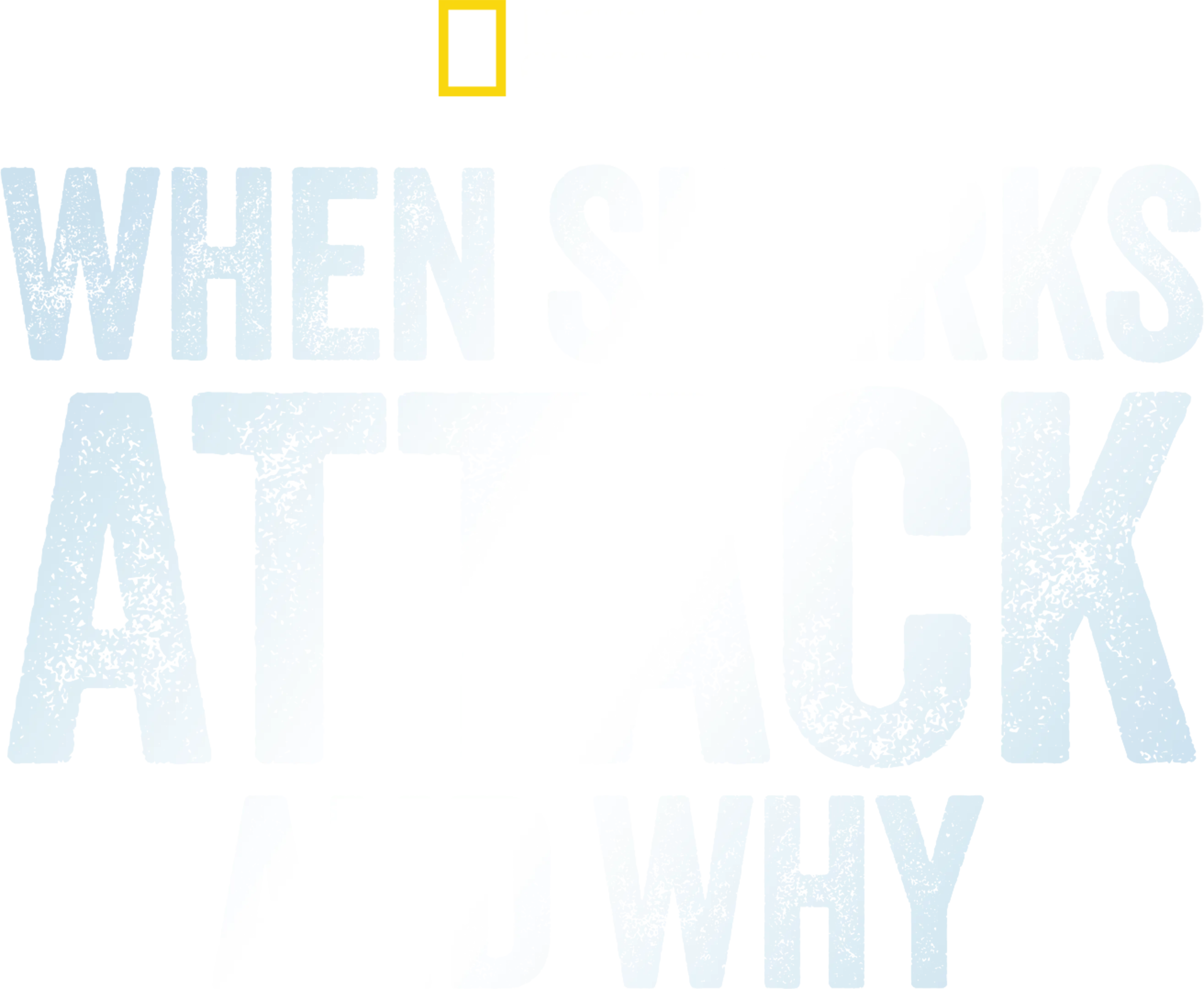 When Sharks Attack... And Why