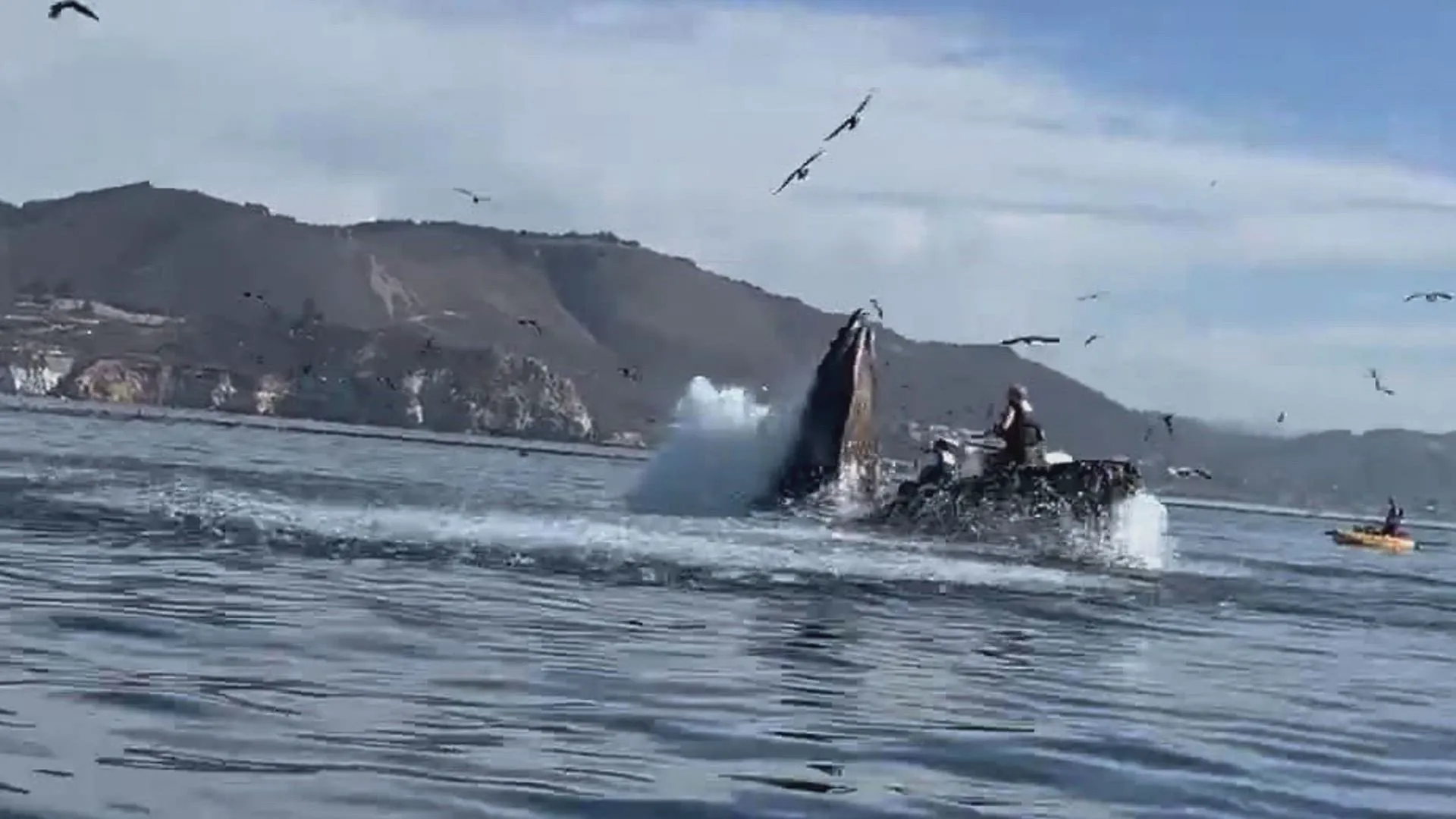 thumbnail - S1:E3 Whale Eats Kayakers, Trucks vs. Trains, Flames and Cranes and Historic Eiffel Tower Jump