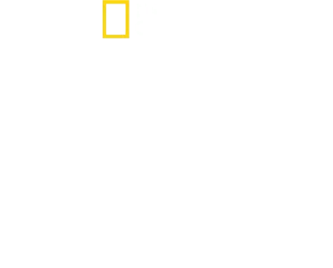 Tucci em Itália