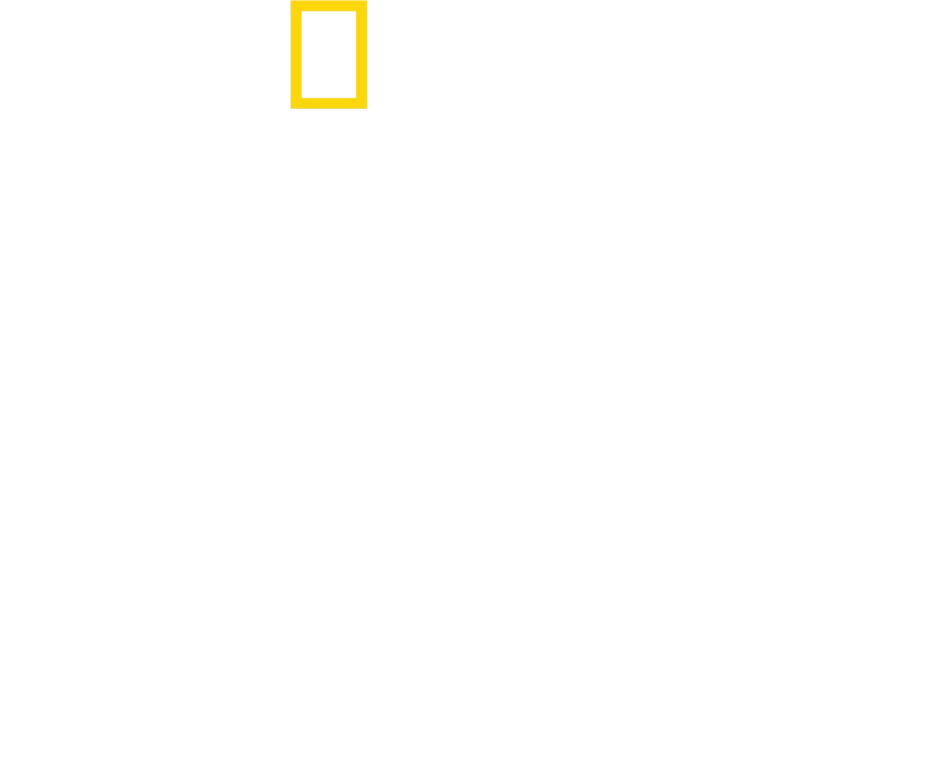 Tucci em Itália