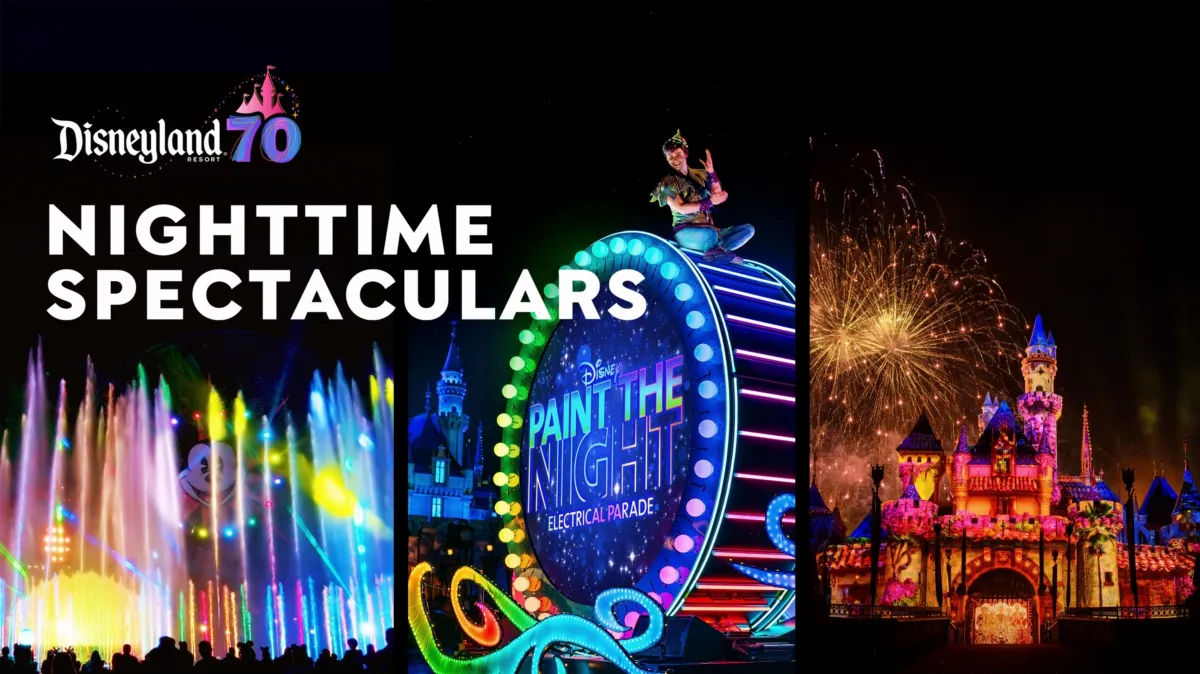 Disney - 70♡さま専用ページ✨ Happy 70th Birthday Disneyland