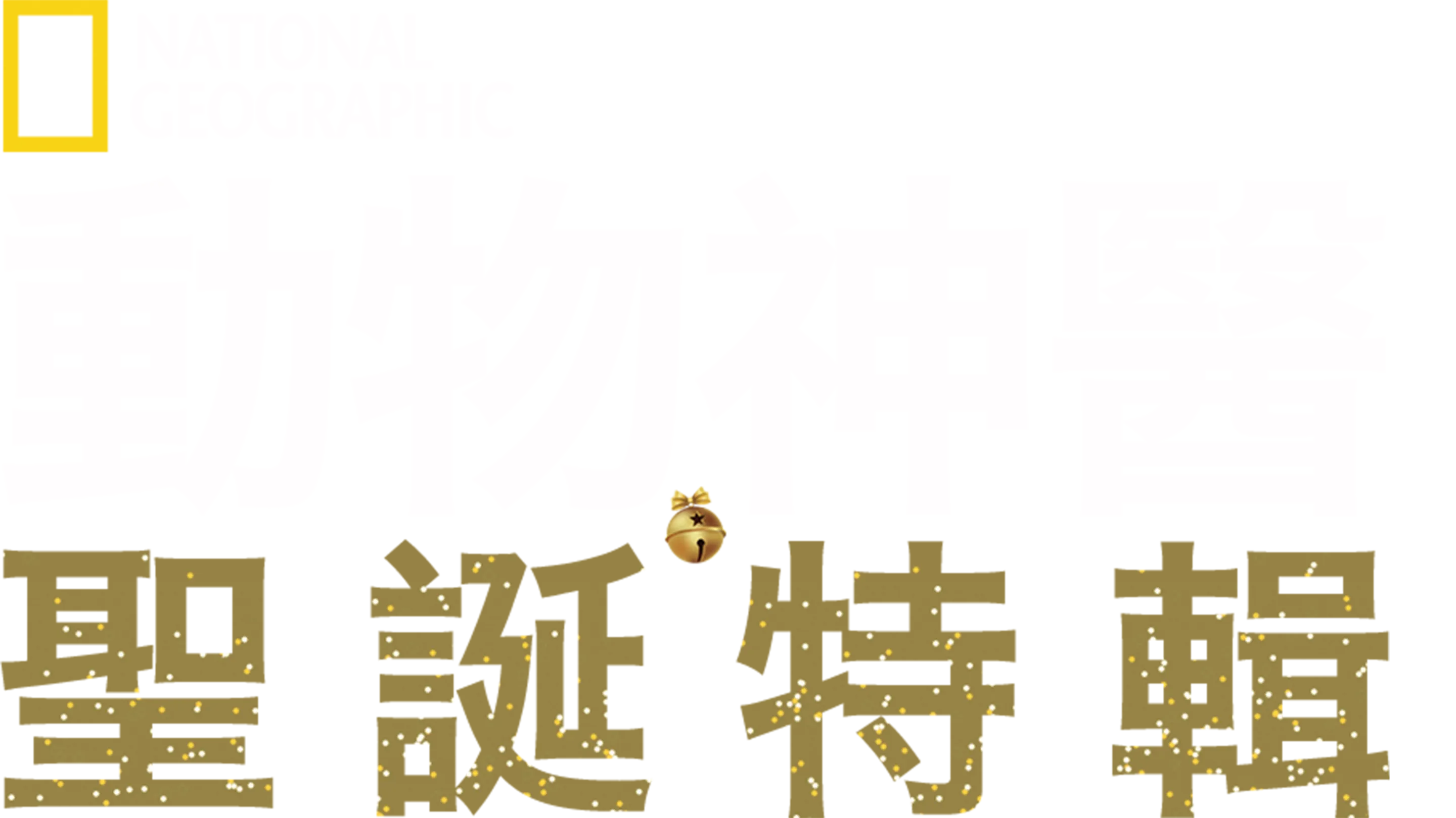動物神醫：聖誕特輯