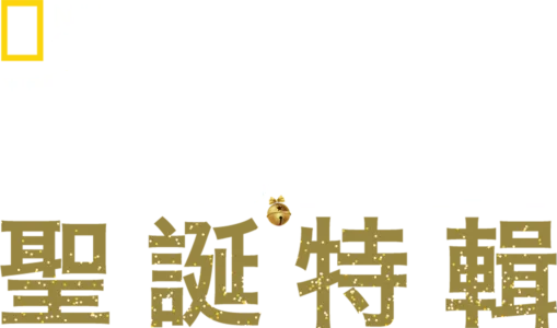 動物神醫：聖誕特輯