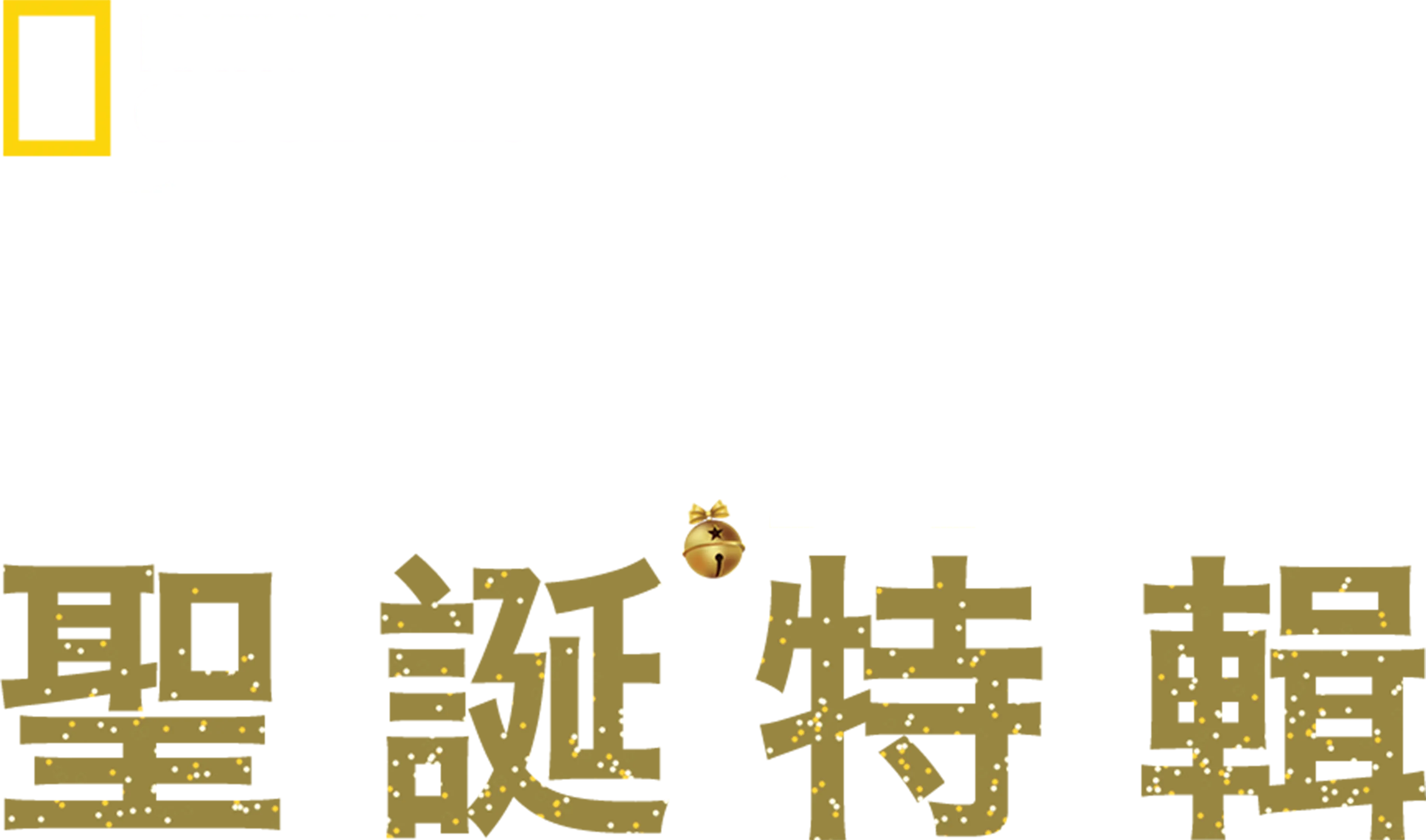 動物神醫：聖誕特輯