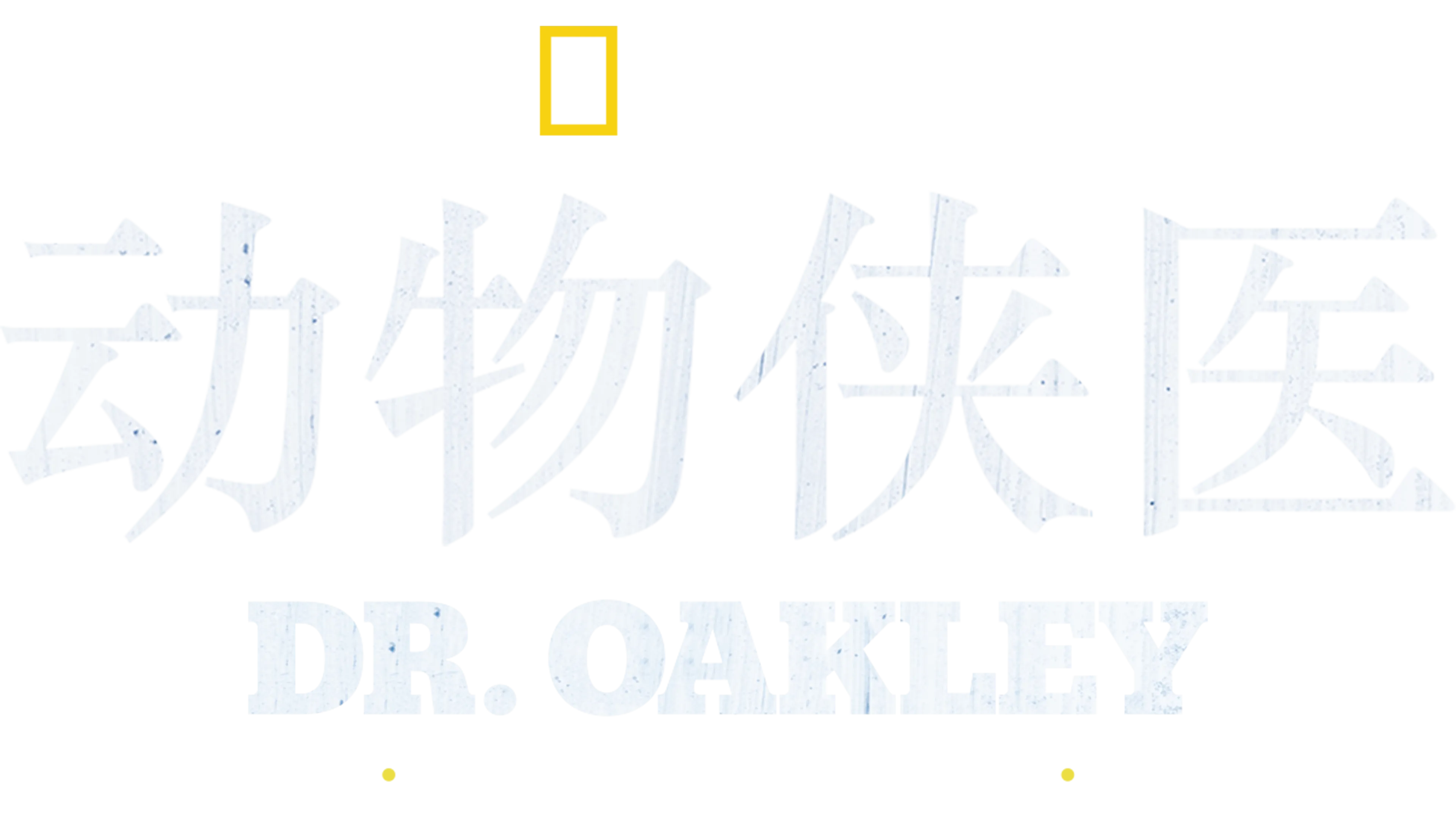 动物侠医