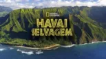thumbnail - Havai Selvagem