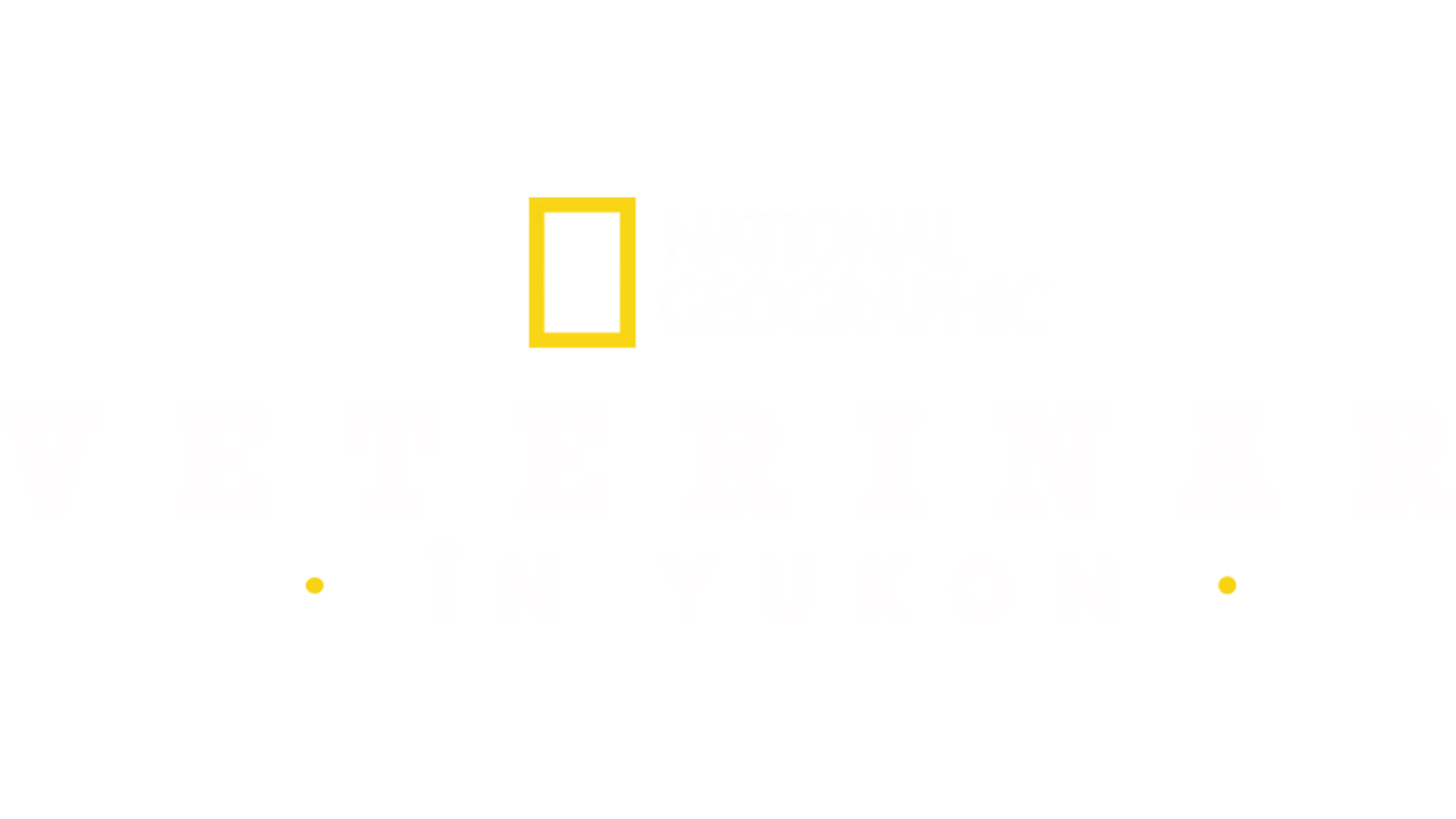 Veterinar în Yukon