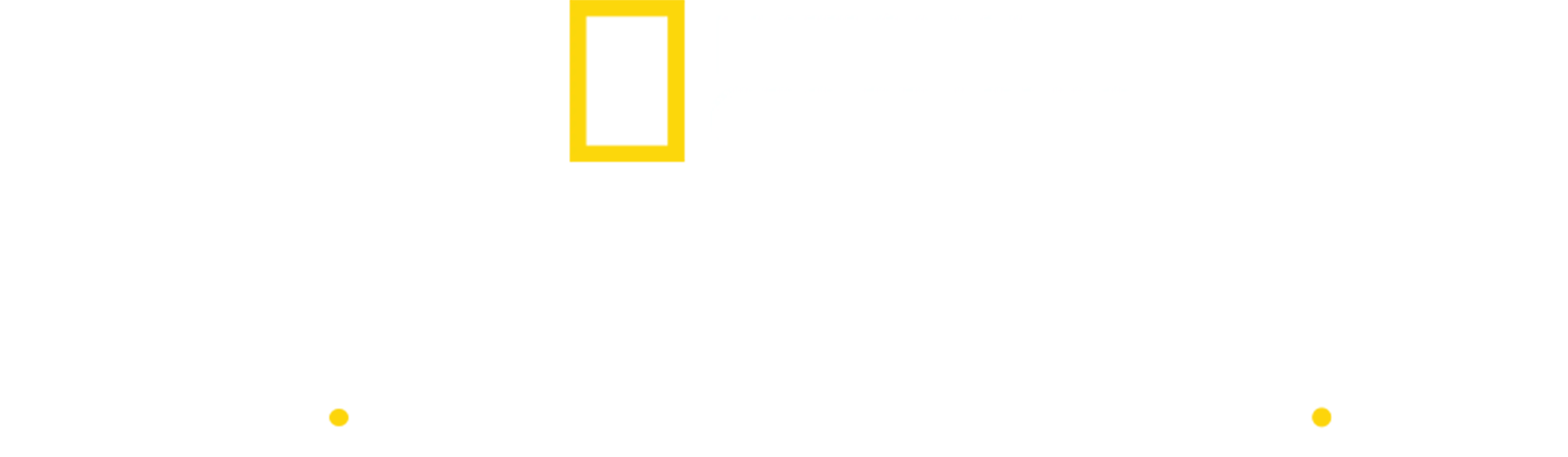 Veterinar în Yukon