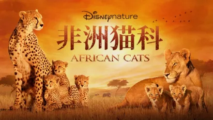 thumbnail - 非洲猫科