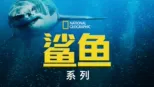 thumbnail - 国家地理：鲨鱼