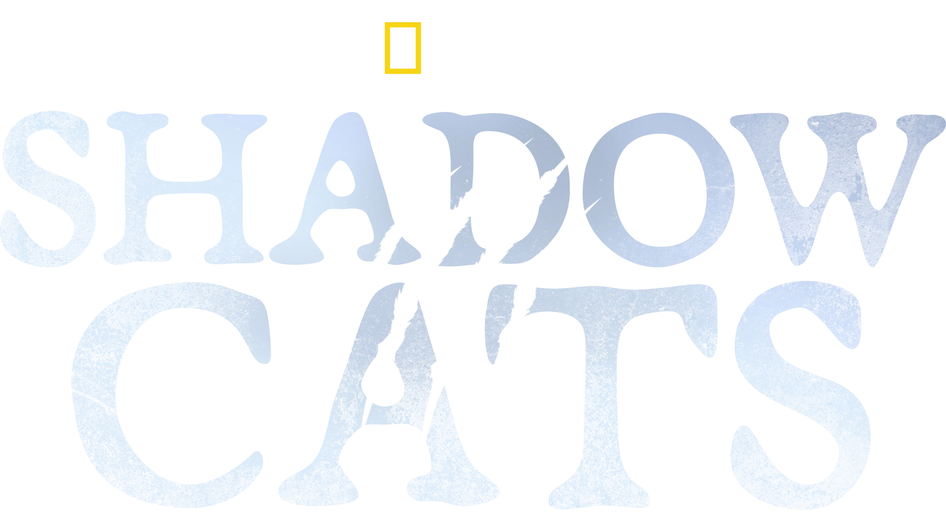 Shadow Cats