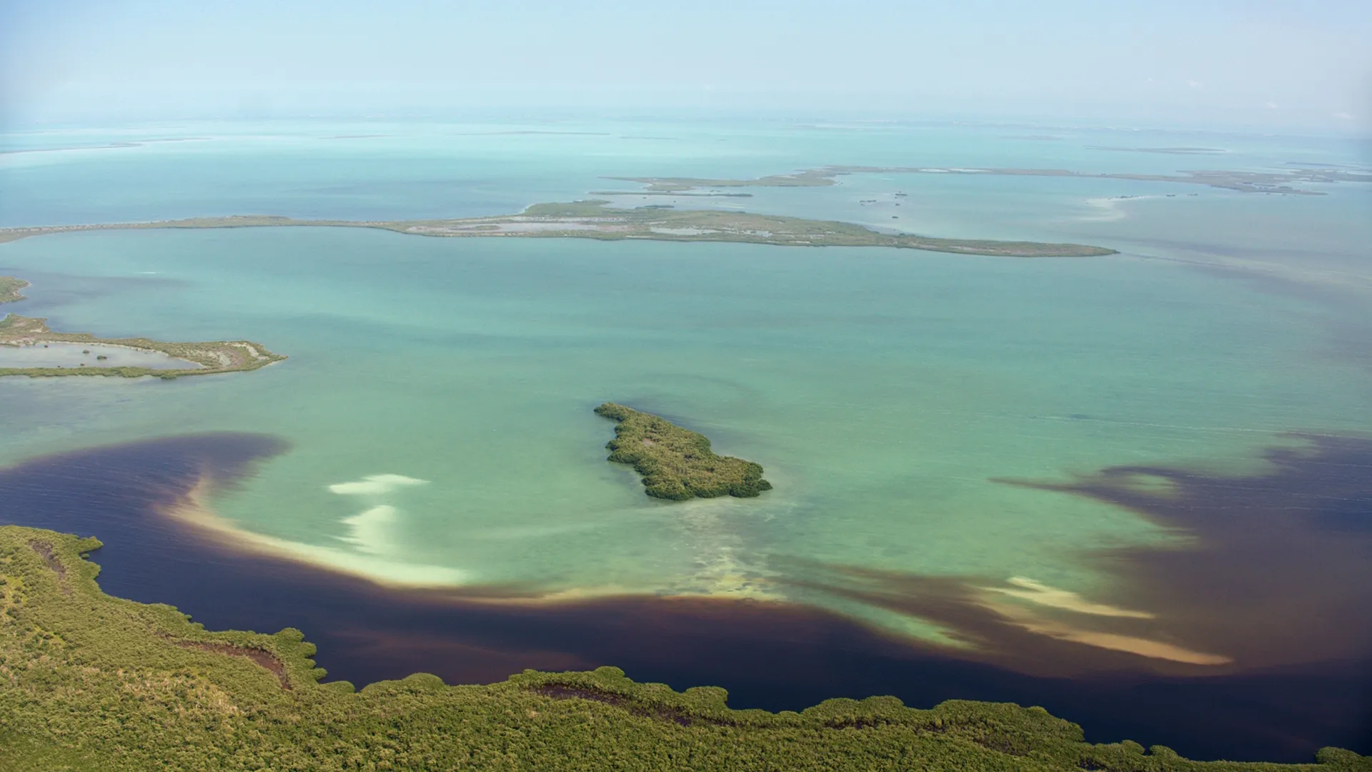 thumbnail - S1:E2 Everglades