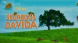 thumbnail - Segredos da Vida