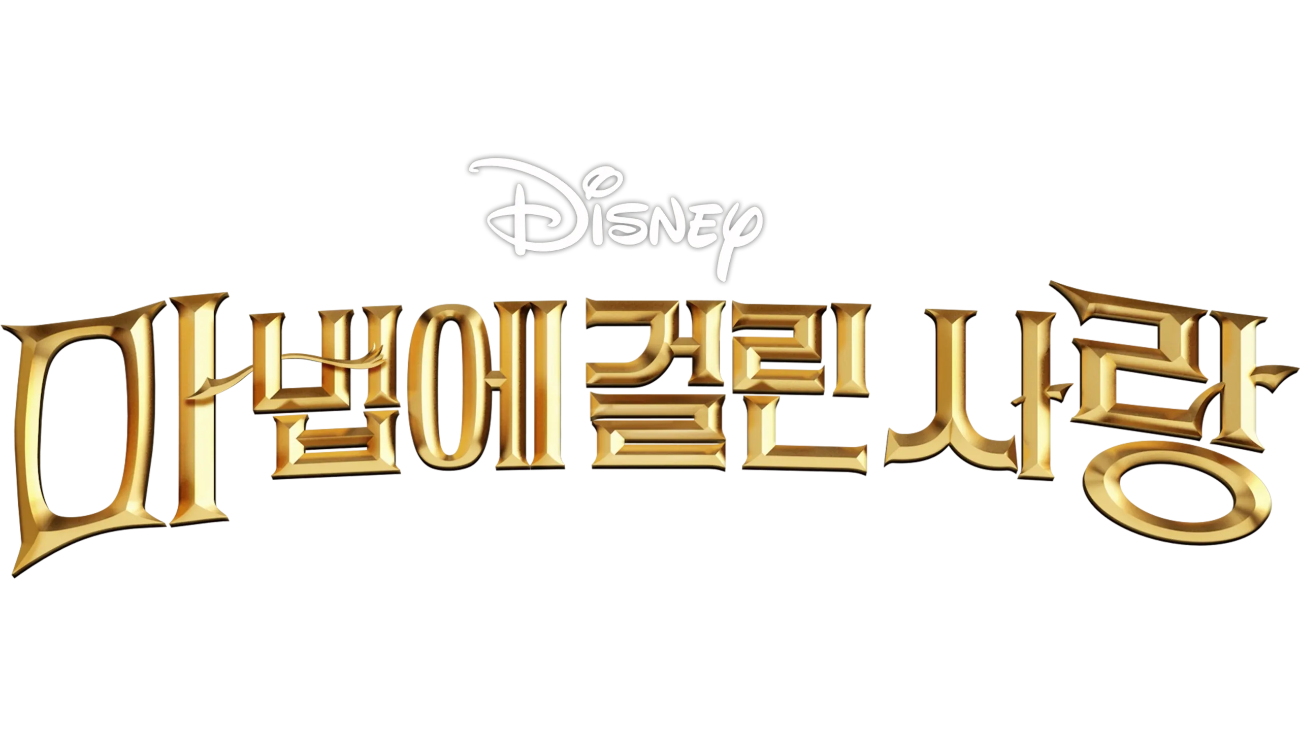 마법에 걸린 사랑