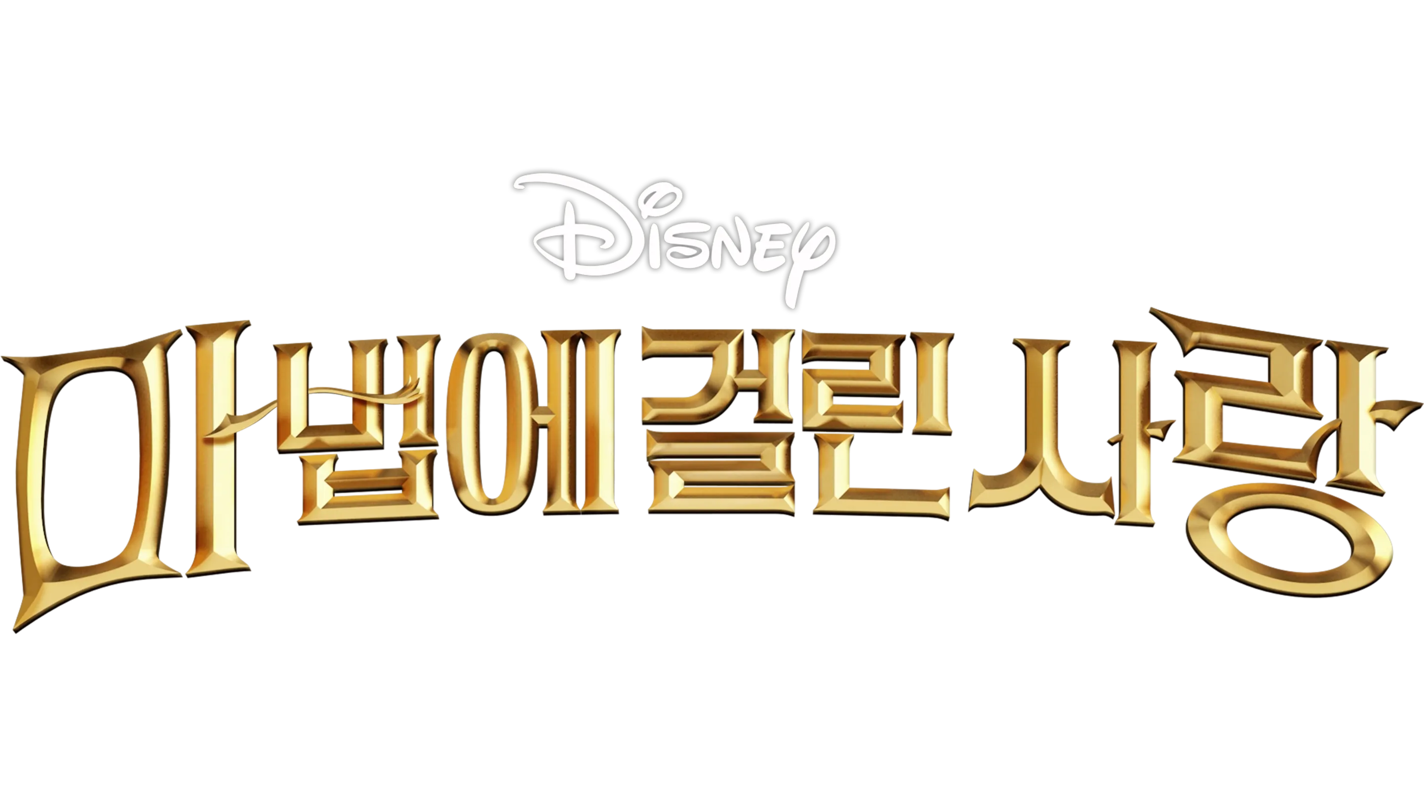 마법에 걸린 사랑