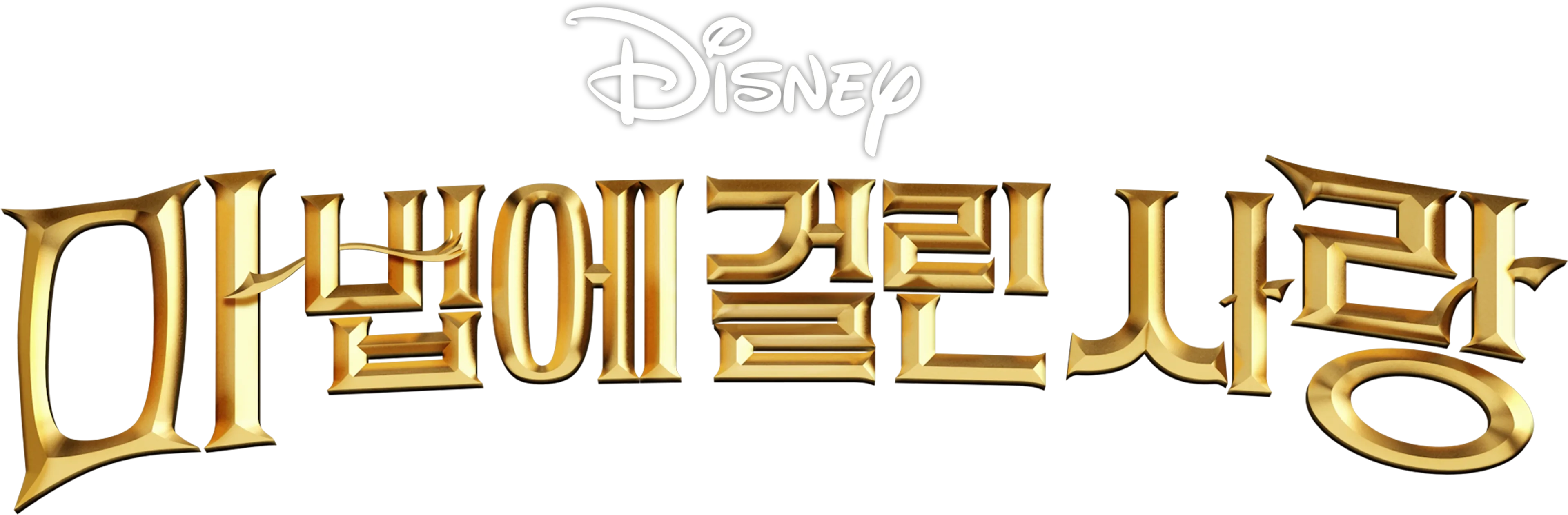 마법에 걸린 사랑
