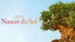 thumbnail - Disney Parks - Série do Nascer do Sol