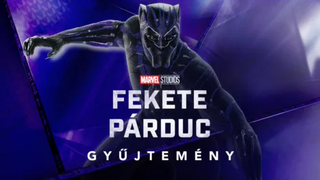 thumbnail - Fekete Párduc