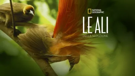 thumbnail - Le ali della seduzione