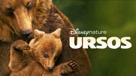 thumbnail - Ursos