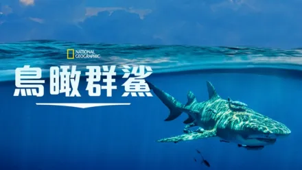 thumbnail - Sky Sharks