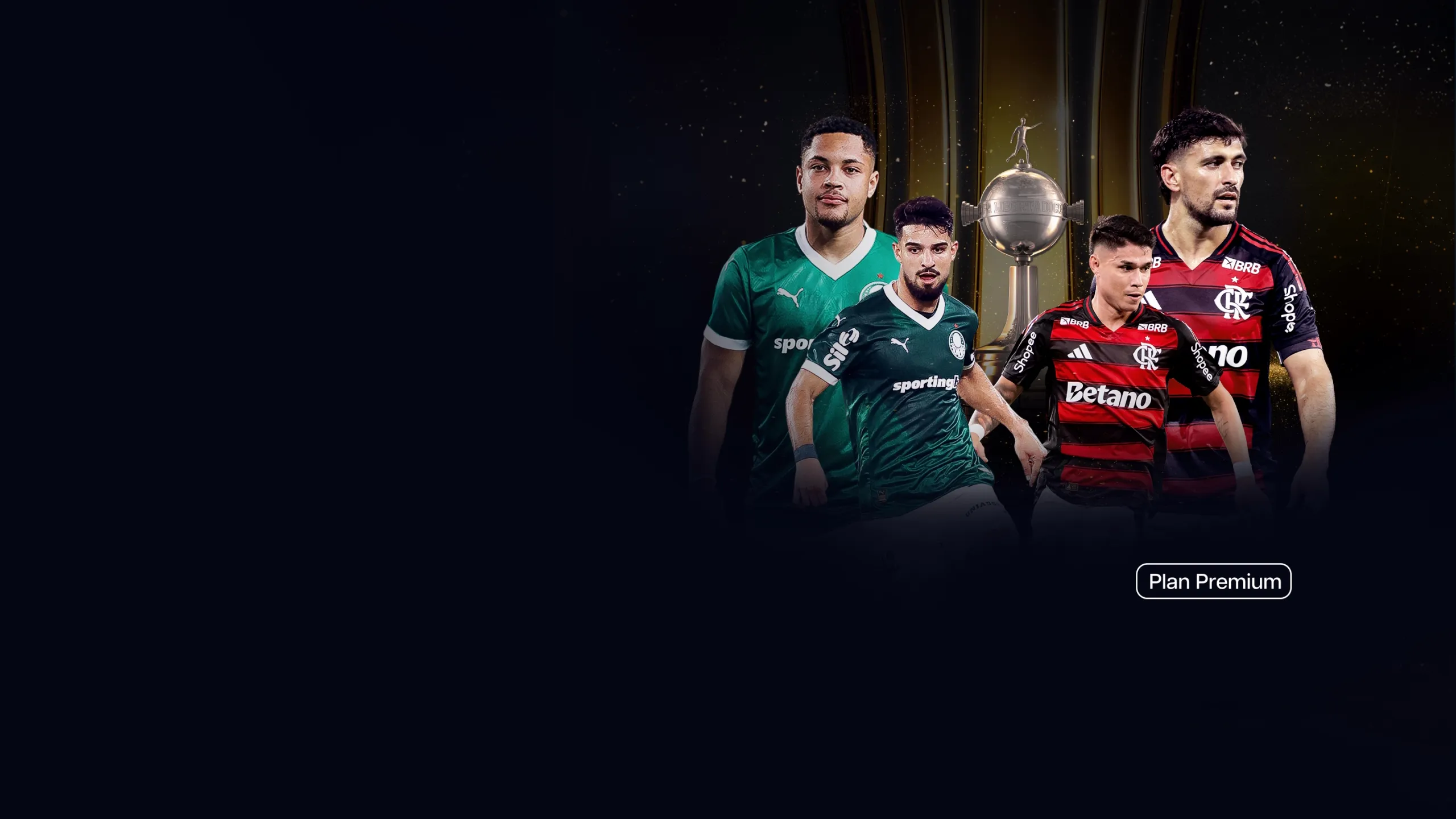 Background Image Slider - Libertadores y F1