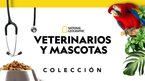 thumbnail - Veterinarios y mascotas