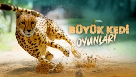 thumbnail - Büyük Kedi Oyunları