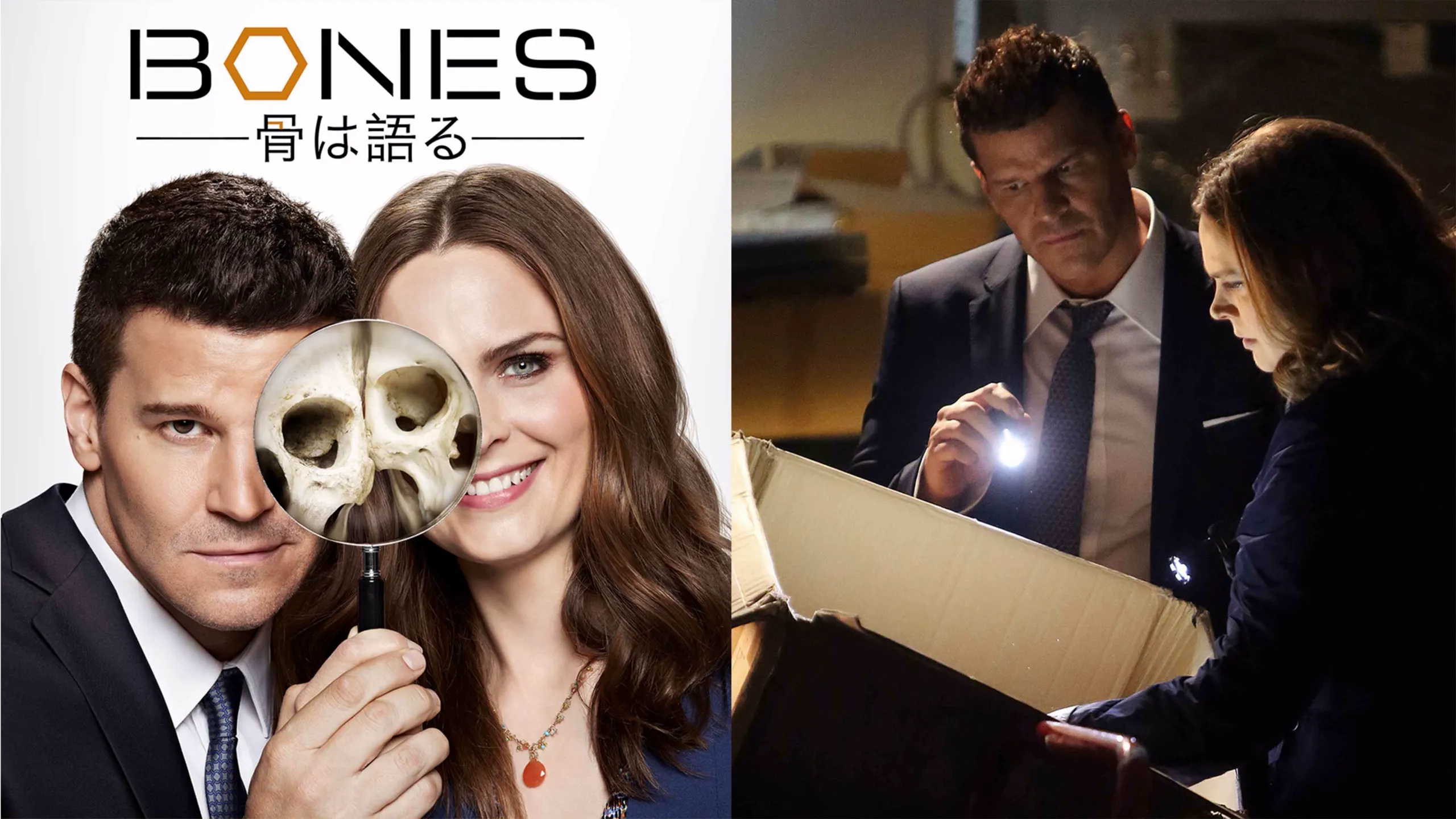 『BONES -骨は語る-』