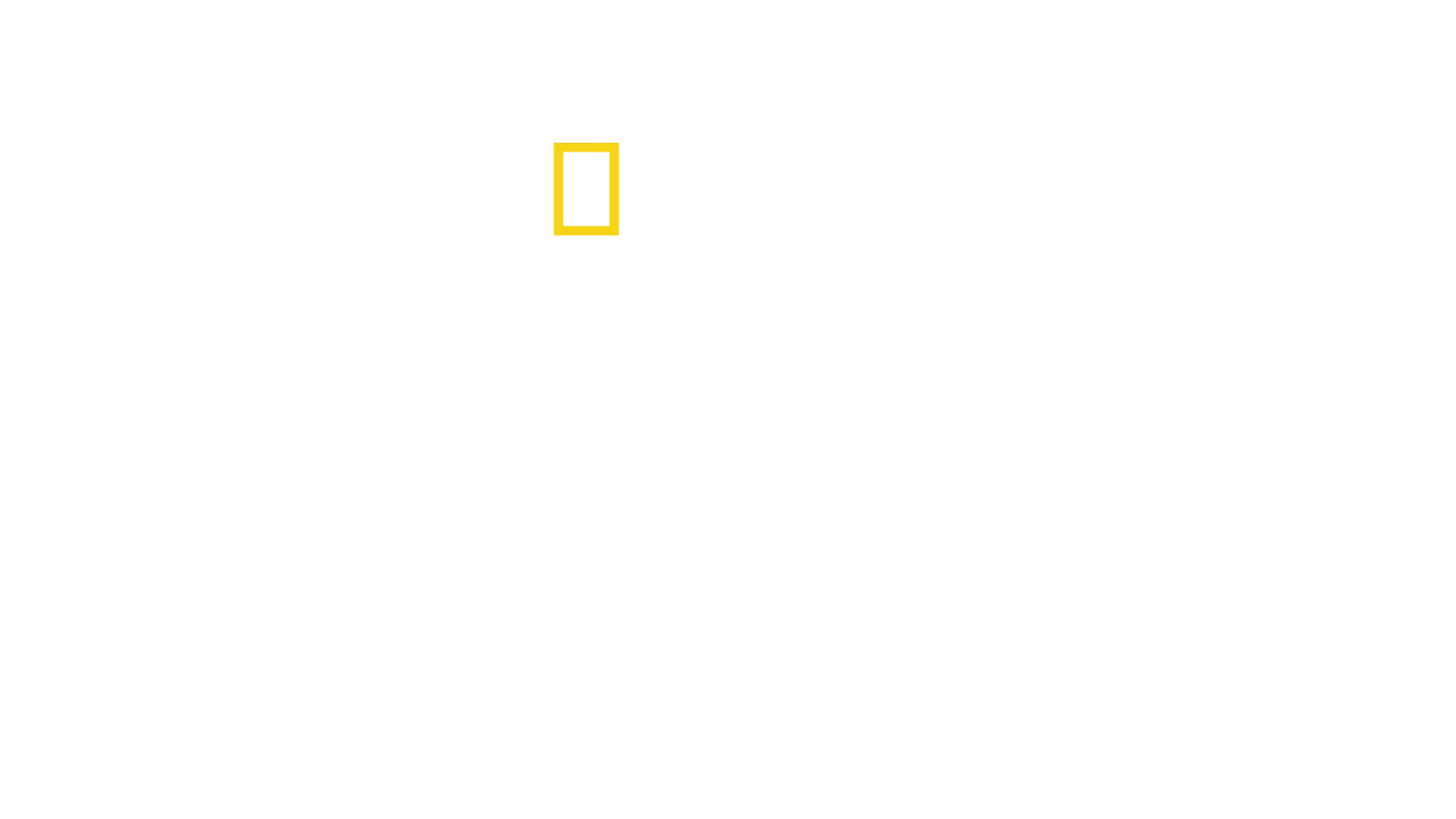 Regatul sălbatic