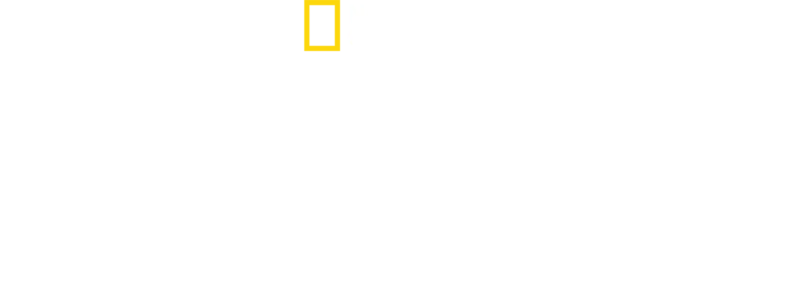 Regatul sălbatic