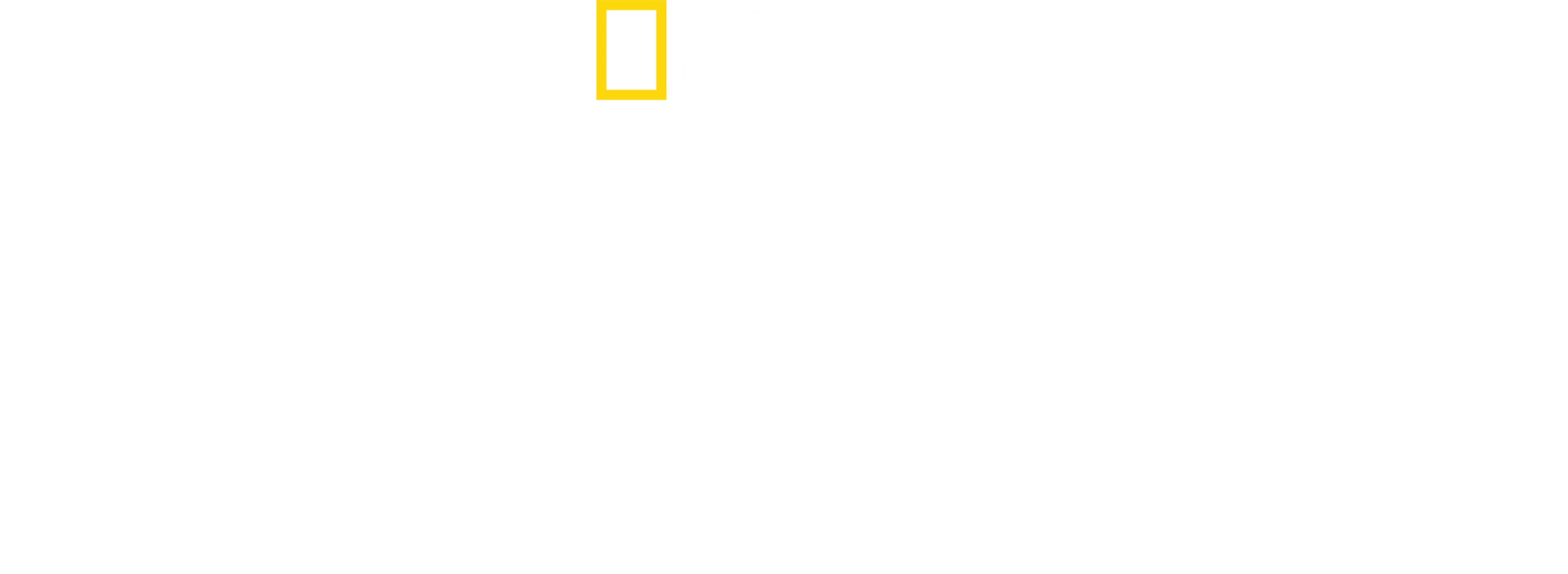Regatul sălbatic